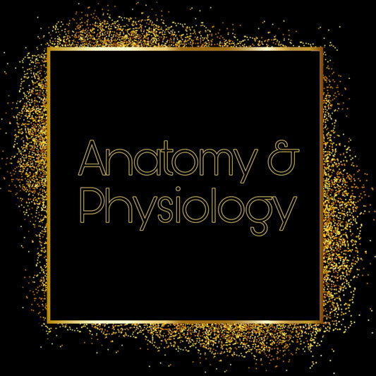 Anatomía y fisiología